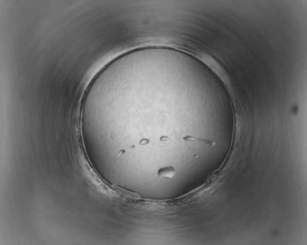 X0000115791052200911271222