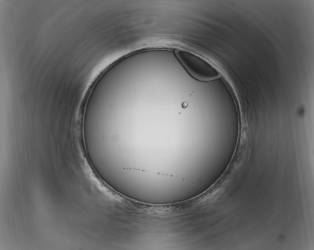 X0000115791053200911271222