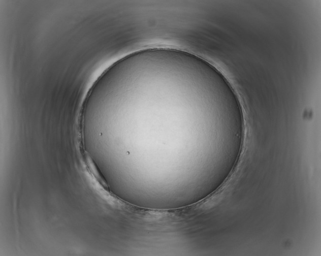 X0000115791056200911271222