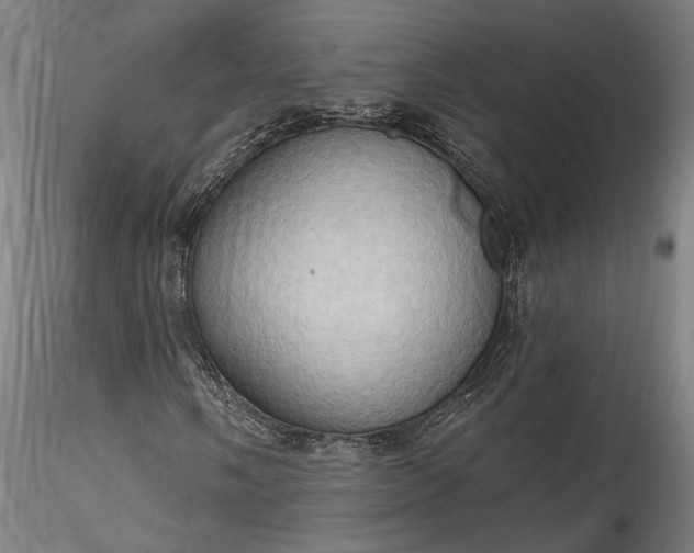 X0000115791058200911271221