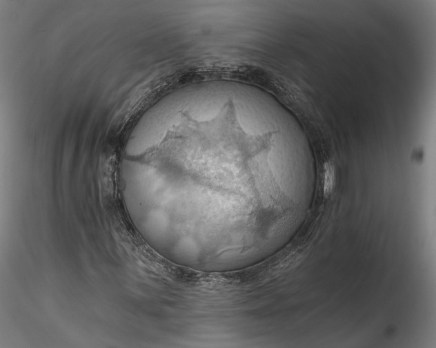 X0000115791059200911271221