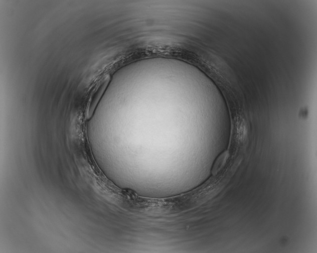 X0000115791060200911271221