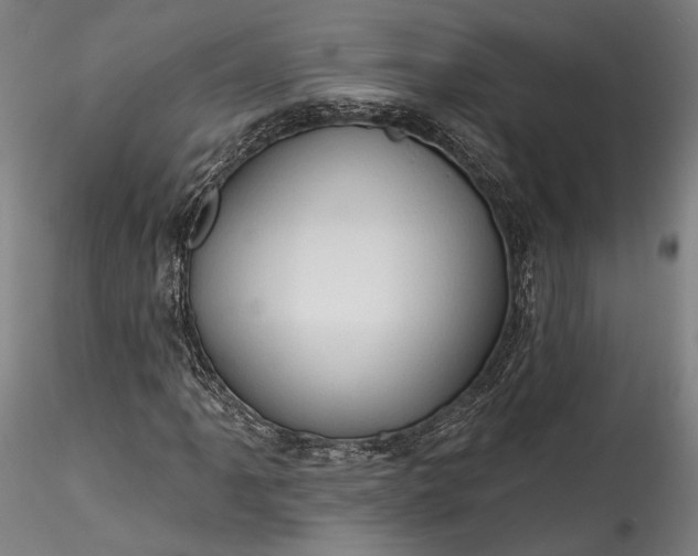 X0000115791061200911271221