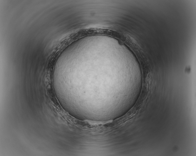 X0000115791062200911271221