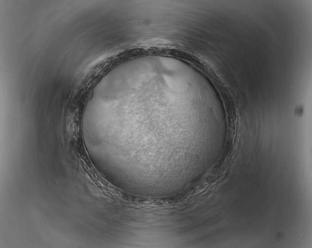 X0000115791063200911271221