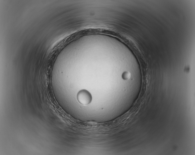 X0000115791064200911271221