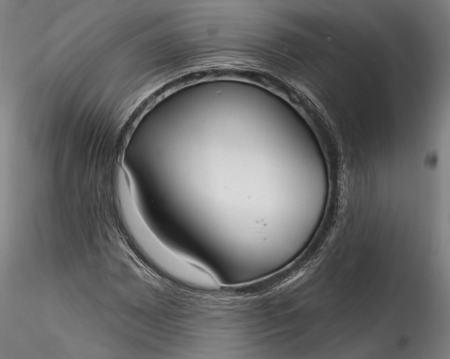 X0000115791065200911271221