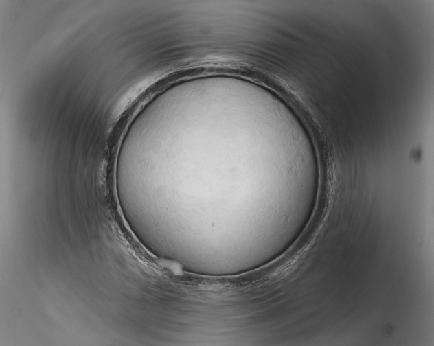 X0000115791066200911271221