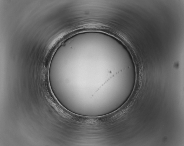 X0000115791067200911271221