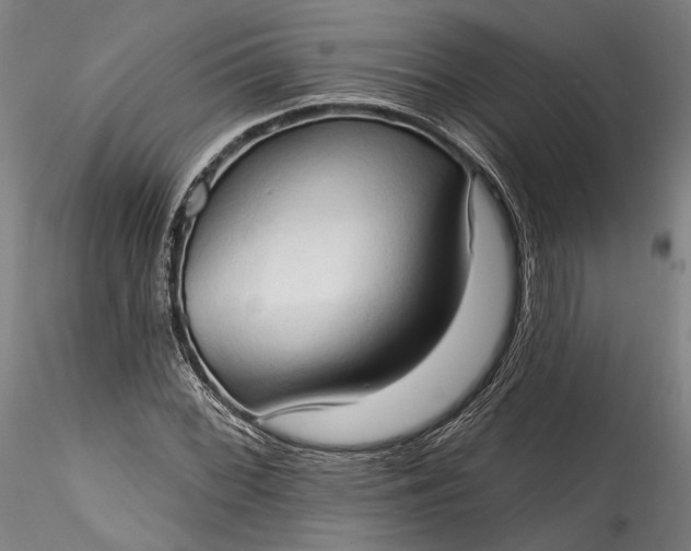 X0000115791068200911271221