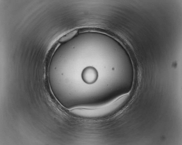 X0000115791069200911271221