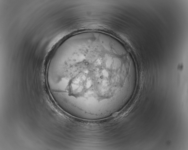 X0000115791071200911271221