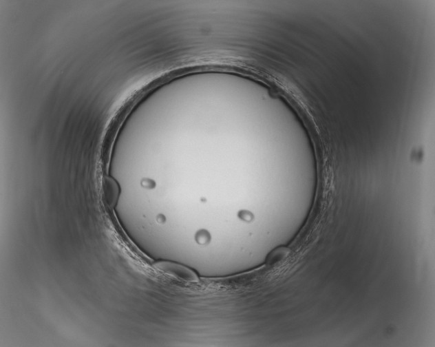 X0000115791072200911271221