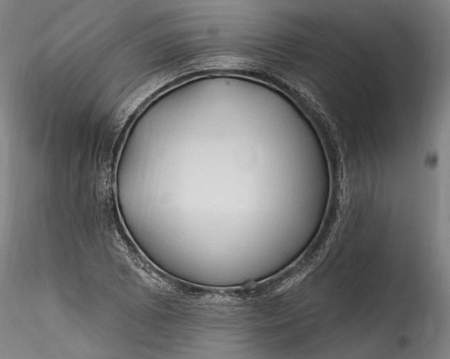 X0000115791073200911271221