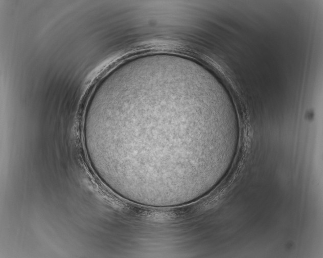 X0000115791074200911271221