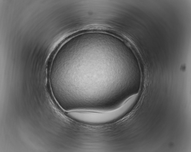 X0000115791075200911271221