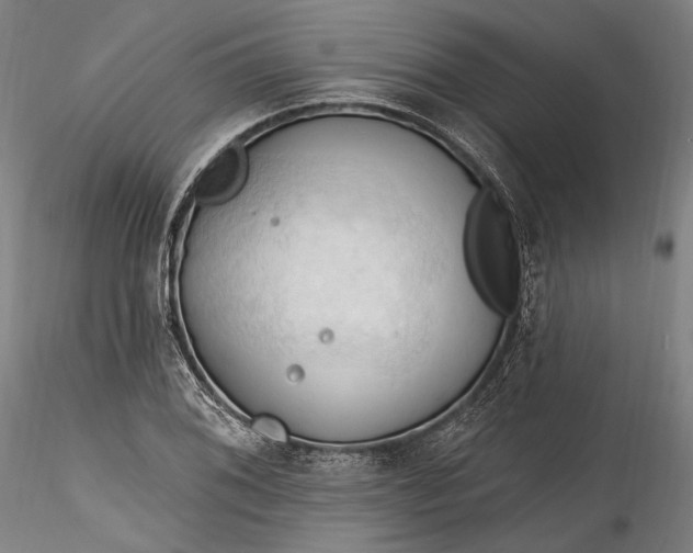 X0000115791076200911271221