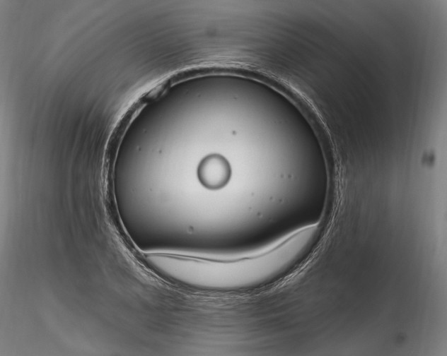 X0000115791077200911271221