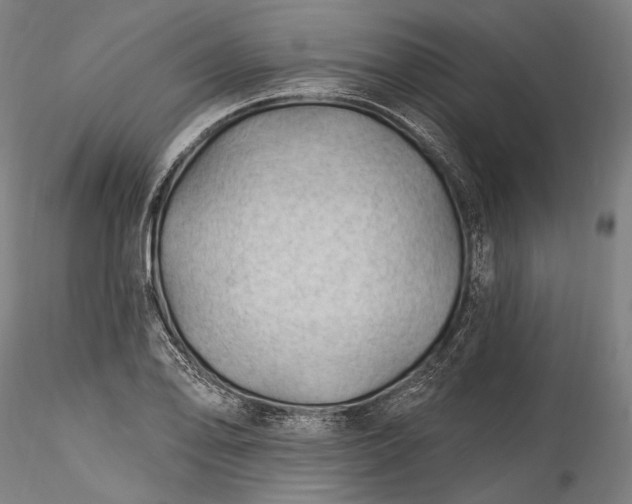 X0000115791078200911271221