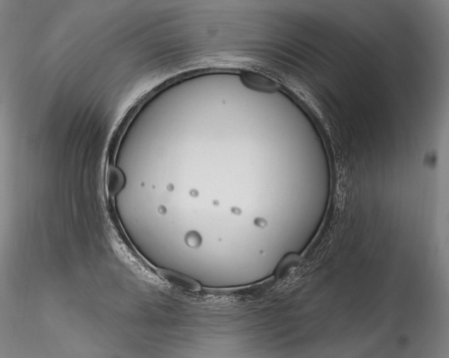 X0000115791080200911271221