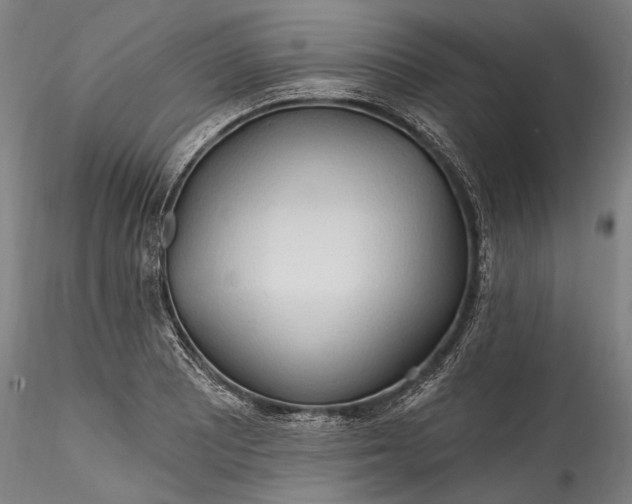 X0000115791081200911271221