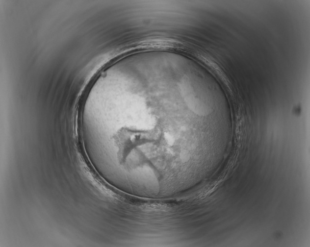 X0000115791083200911271221