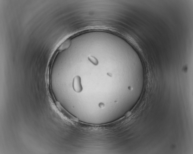 X0000115791084200911271221