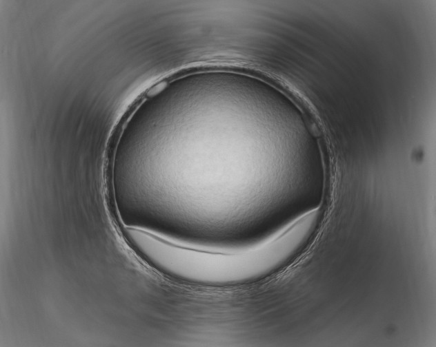 X0000115791085200911271221