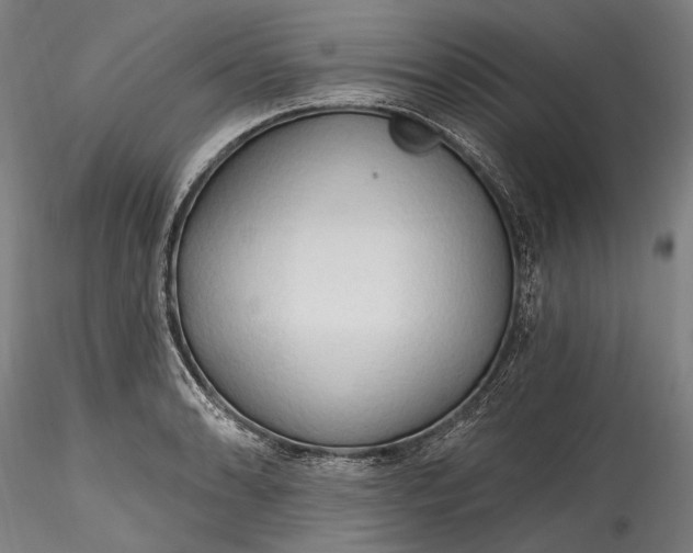 X0000115791086200911271221