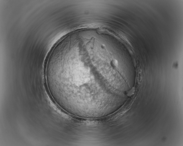 X0000115791087200911271221