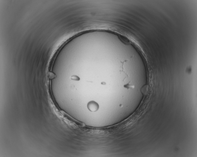 X0000115791088200911271221