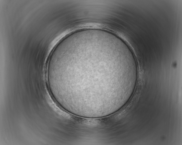 X0000115791090200911271221