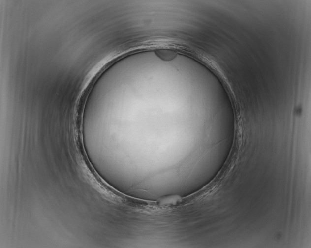 X0000115791091200911271221