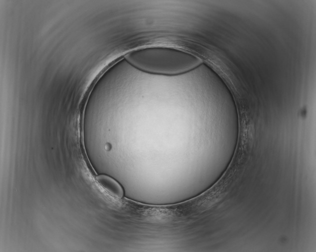 X0000115791092200911271221