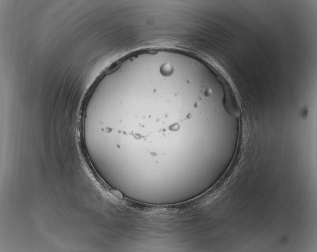 X0000115791093200911271221