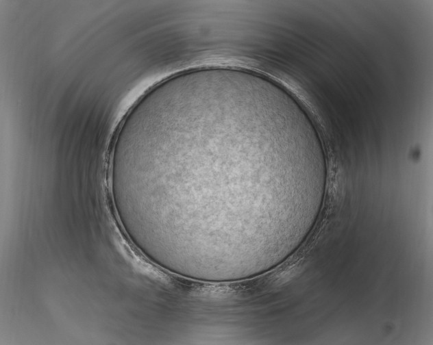 X0000115791094200911271221