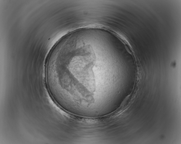 X0000115791095200911271221