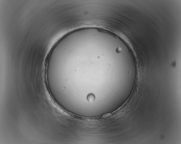 X0000115791096200911271221