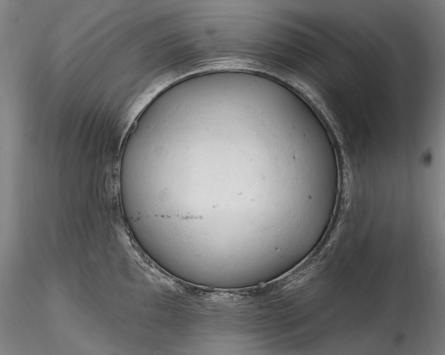 X0000115791097200911271221