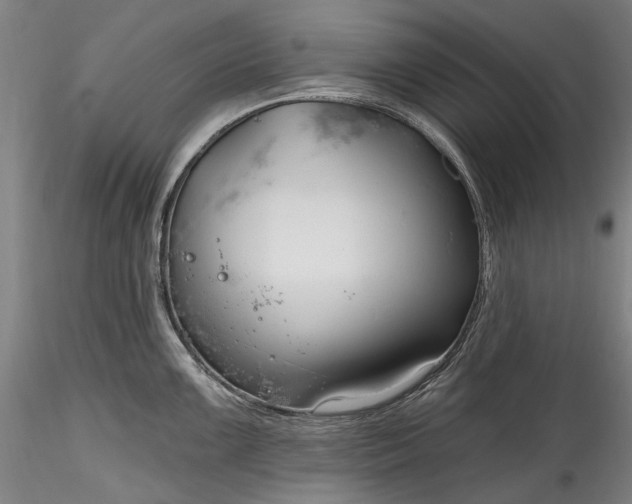 X0000115791099200911271221