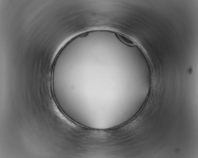 X0000115791100200911271221