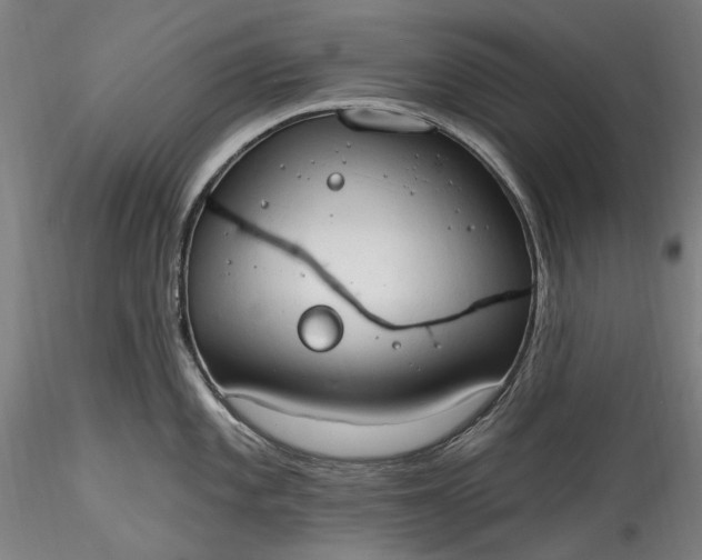 X0000115791101200911271221