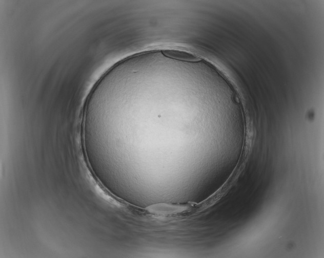 X0000115791102200911271221