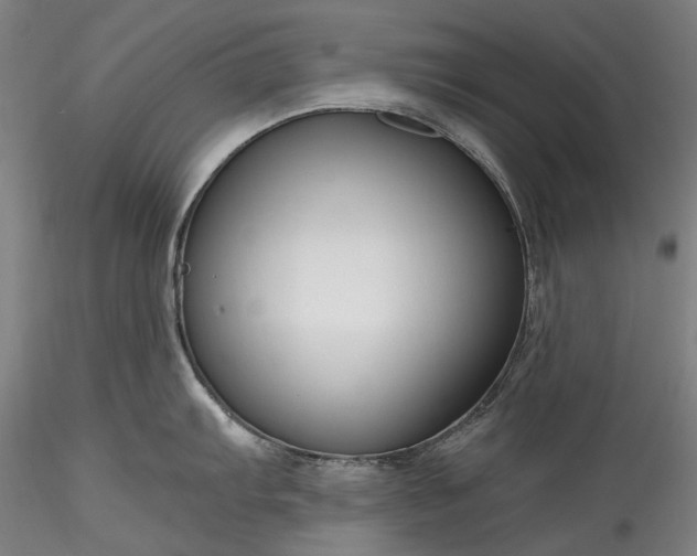 X0000115791103200911271221