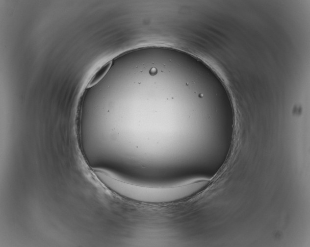 X0000115791104200911271221