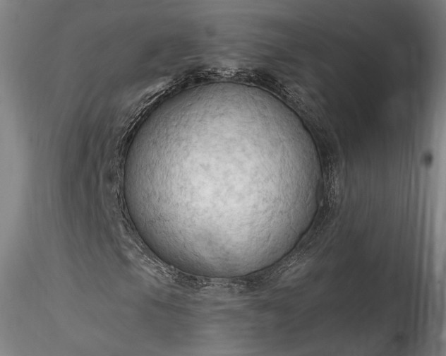 X0000115791105200911271220