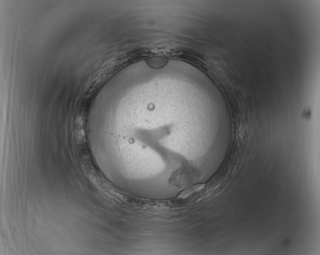 X0000115791106200911271220