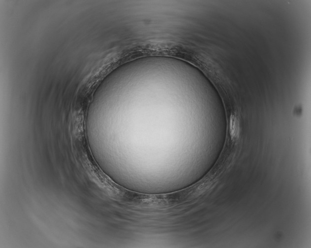 X0000115791107200911271220