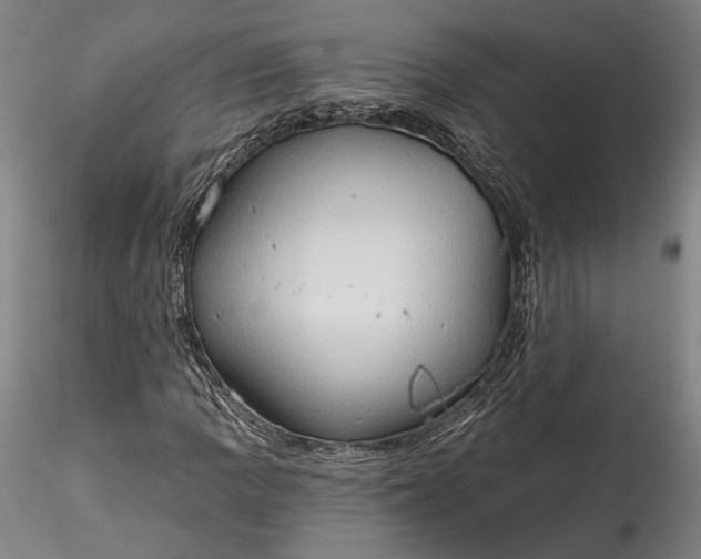 X0000115791109200911271220