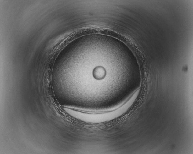 X0000115791110200911271220